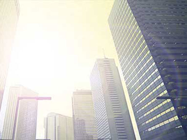 公司介绍